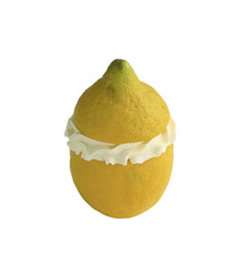 Effepi Eis in Zitronen Schale